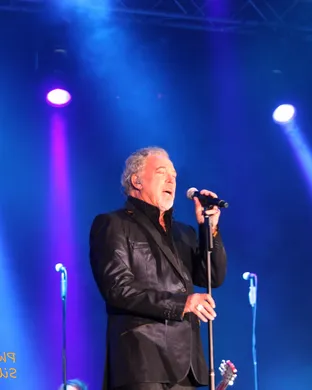 Tom Jones Ledyard